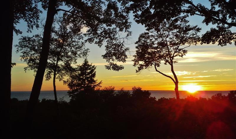 Pet-Friendly One Crow Cottage In Harbor Springs! ภายนอก รูปภาพ